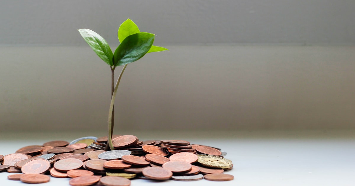How Debt Works: A Strategic Guide For Professionals Hands Holding Money For Investment